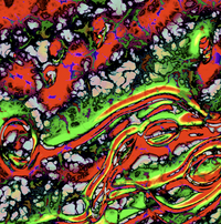 Specialty Prints