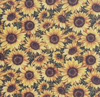 Specialty Prints