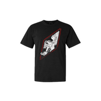 SAME WAR, NEW SCARS Series