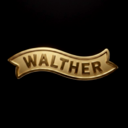 Walther IWB Holster