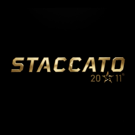 Staccato OWB Holster
