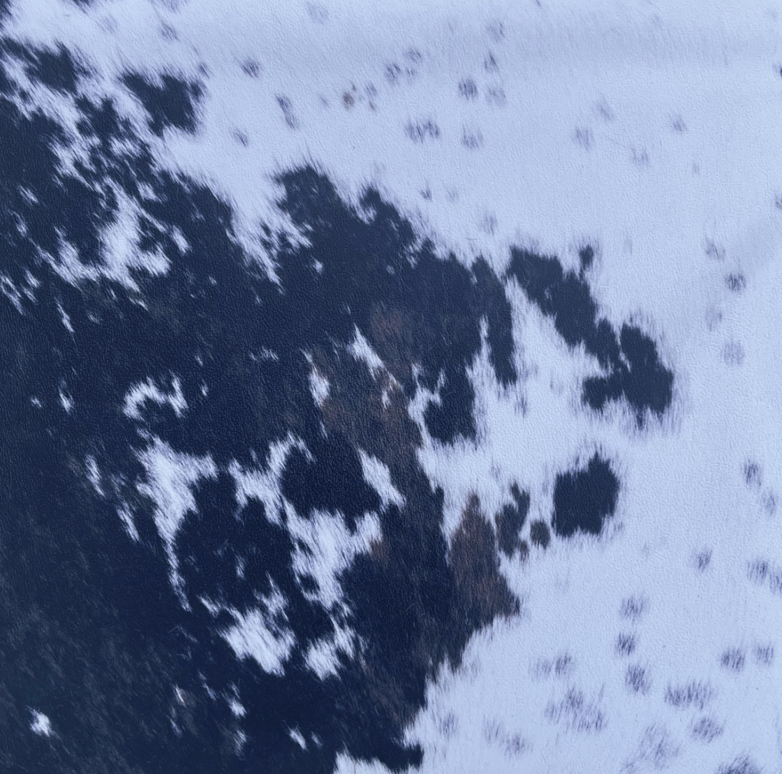 Specialty Prints