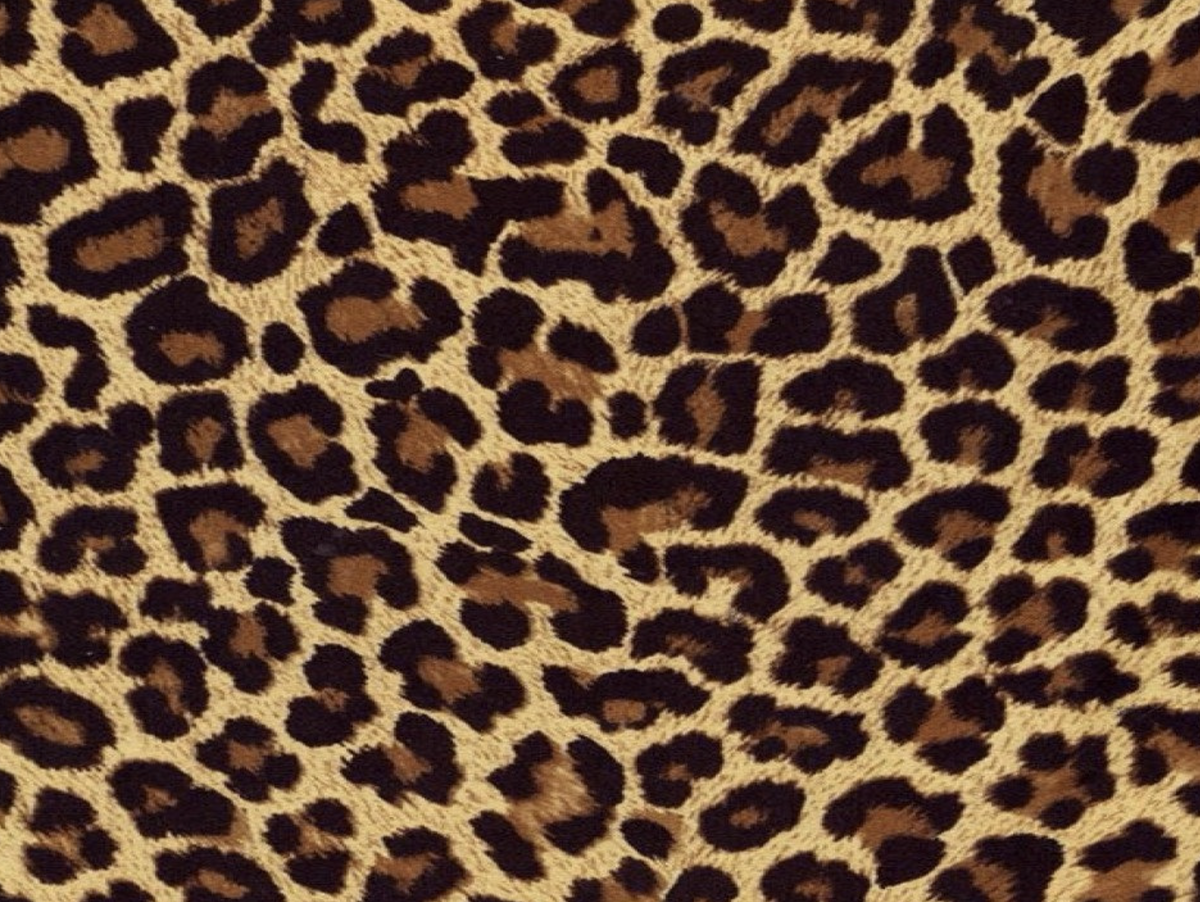 Specialty Prints