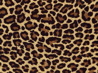 Specialty Prints